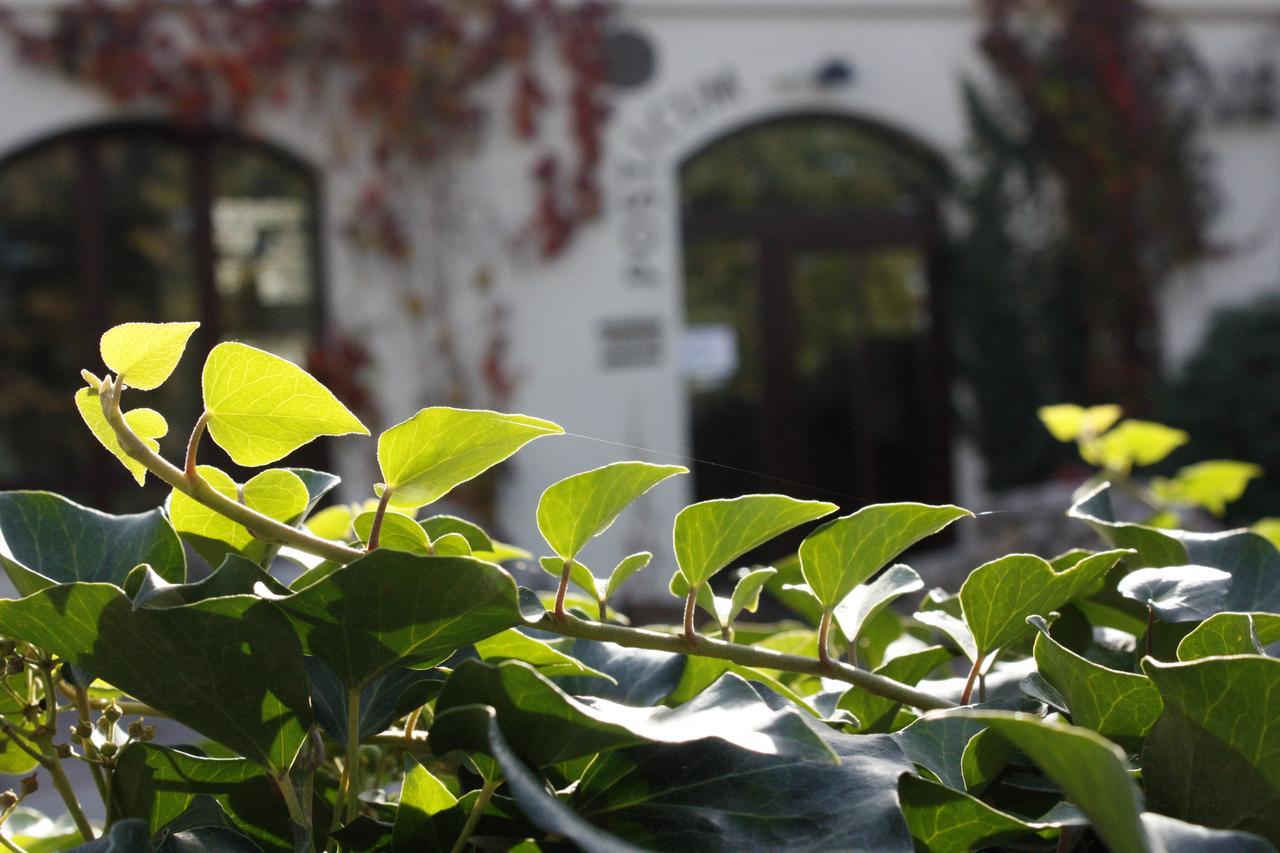 The Zen Hotel - Posticum Oradea Exterior foto